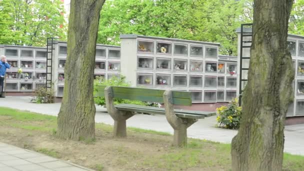 Prag, Tschechische Republik - 2. Mai 2015: Friedhof - Grabsteine (Blumen) — Stockvideo