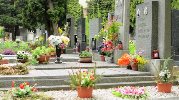 Prag, Tschechische Republik - 2. Mai 2015: Friedhof - Grabsteine (Blumen) — Stockvideo