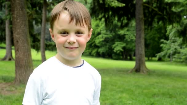 Pequeno menino bonito sorri para a câmera - parque no fundo - parque — Vídeo de Stock