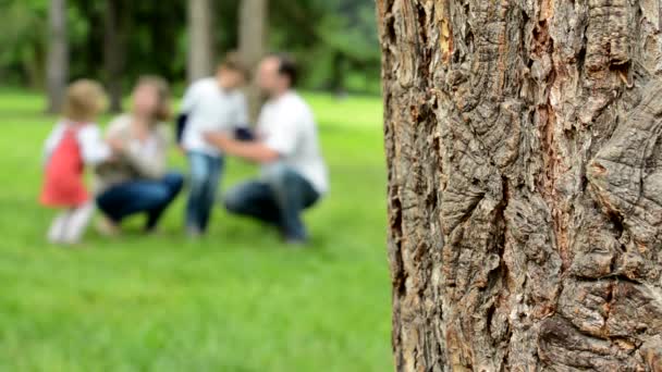 Detalle de la corteza del árbol - fondo borroso: familia (pareja media en el amor, linda chica y niño pequeño) jugar juntos en el parque — Vídeo de stock