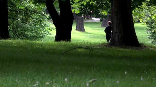 Parque - prado (hierba y árboles) - primer plano - disparado desde el suelo — Vídeo de stock