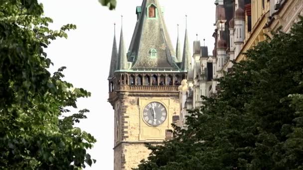 Prag, Çek Cumhuriyeti - 30 Mayıs 2015: Prag - Eski Belediye Binası - kuledeki insanlar - diğer binalar - ağaçlar — Stok video