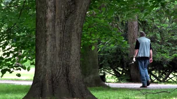 PRAGA, REPÚBLICA CHECA - 2 DE MAYO DE 2015: el hombre pasea al perro en el parque - verano — Vídeo de stock