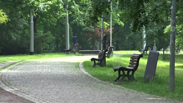 Parque (bosque) - camino con bancos - personas caminando en el fondo - verano — Vídeo de stock