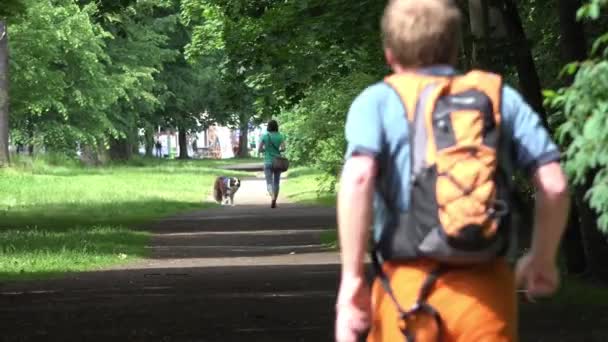 As pessoas relaxam no parque - andando e correndo - verão — Vídeo de Stock