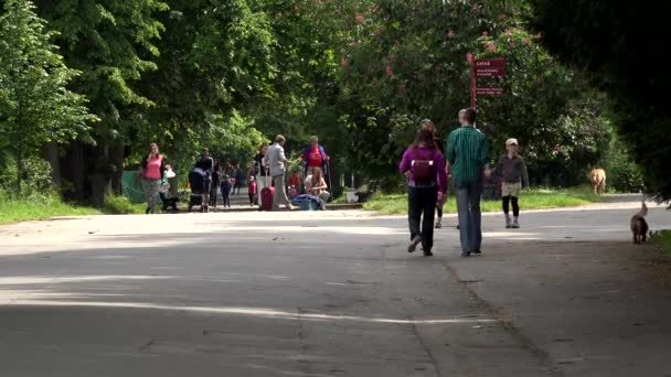 Prague, Tsjechië - 31 mei 2015: mensen wandelen in het park - zomer — Stockvideo