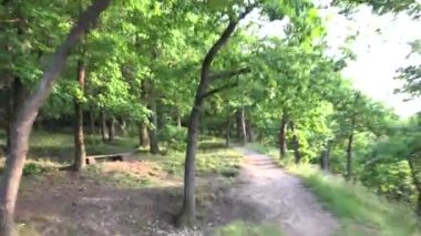 Orman - kaçış - steadicam çalıştıran