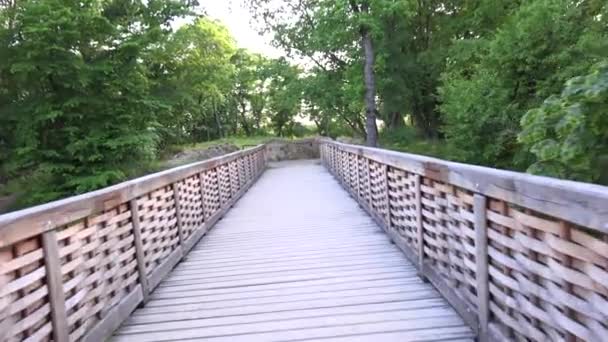 Walk across the bridge in forest - steadicam — Stock Video