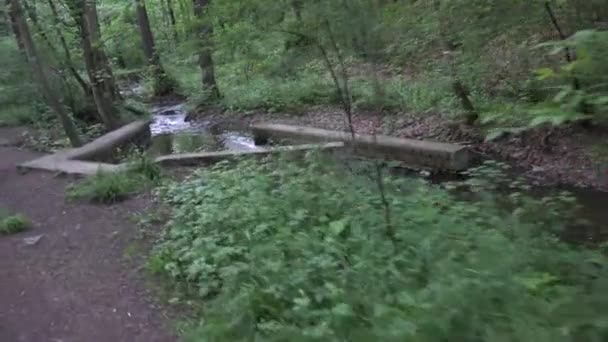 Wald mit Bach - Bäume - Schwebebahn — Stockvideo