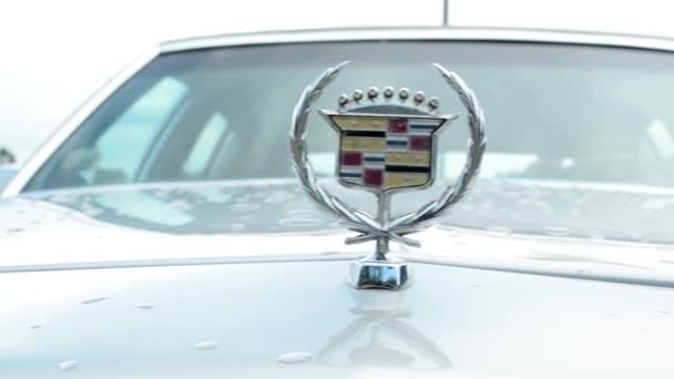 Prag, Tschechische Republik - 20. Juni 2015: alter amerikanischer Oldtimer - Detail des Logos auf der Motorhaube — Stockvideo