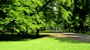 yol ile güneşli harmony park görünümü