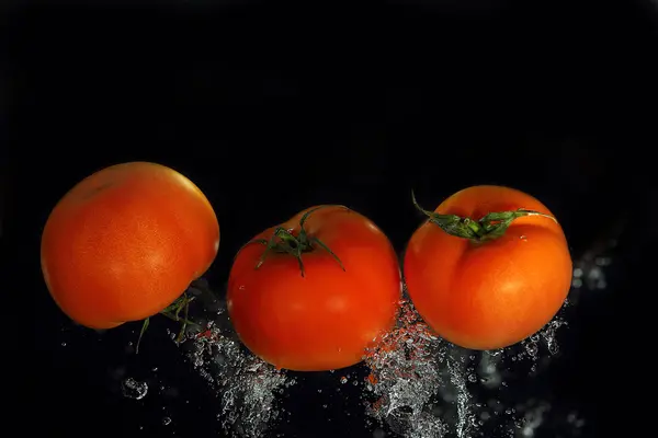 Tomates — Foto de Stock