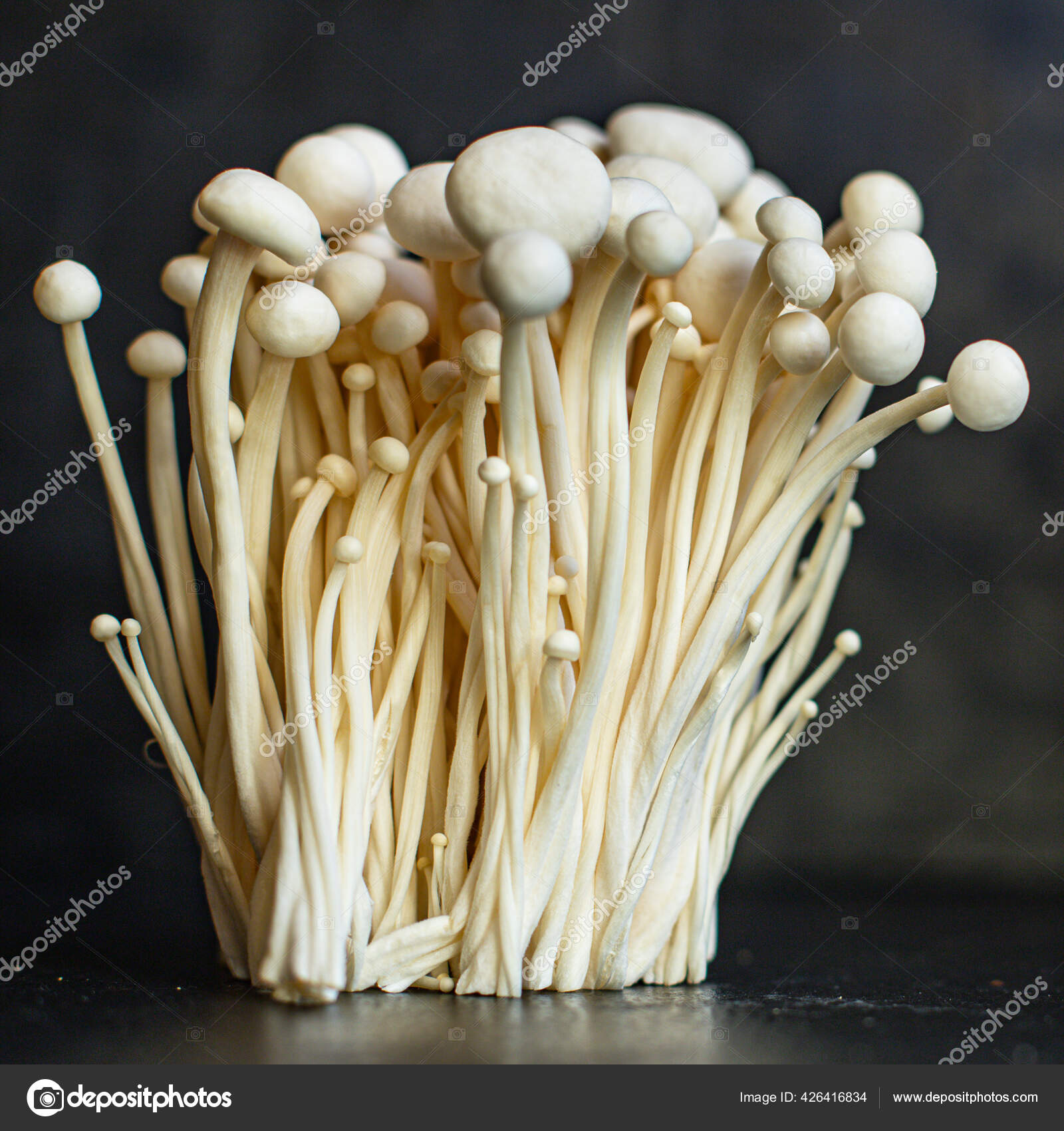 Enoki Hongos Enokitake Flammulina Velutipes Comestible Japonés Hot Pot