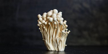 Enoki Enokitake mantarları Flammulina velutipes yenilebilir Japon Hot Pot mutfağı sağlıklı yemek malzemesi üst katman fotokopi alanı metin gıdası arka plan kırsal keto veya paleo diyeti için