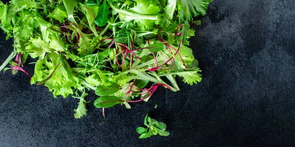 Healthy salad, leaves mix salad mix micro greens, juicy snack ready to cook and eat on the table for healthy meal snack outdoor top view copy space for text food background rustic image keto or paleo