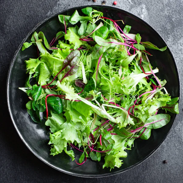 Salada Verde Fresca Mistura Alface Suculento Microgreen Lanche Keto Dieta — Fotografia de Stock
