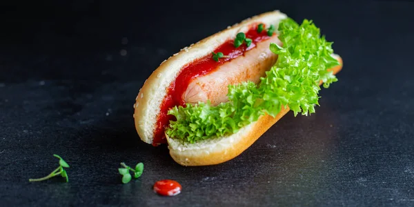 Hot Dog Salsicha Sanduíche Molho Tomate Folha Alface Fast Food — Fotografia de Stock