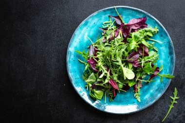 Salata marulları sebzeleri karıştırır. Sebzeleri karıştırır. Sebzeleri karıştırır.