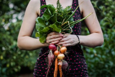 Sebzeler taze mahsul taze porsiyon hazır yemek atıştırmalığı yemek için masa üzerinde fotokopi alanı arka plan kırsal