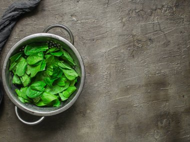 Gri arkaplanda taze ıspanak yapraklarının üst görüntüsü