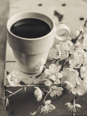 kahve ve çiçek açan ağaç dalı 