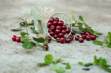 Olgun kirazları yakın