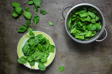 Gri arkaplanda taze ıspanak yapraklarının üst görüntüsü
