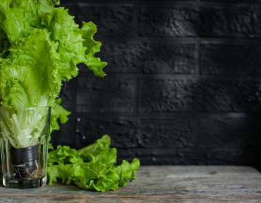 Taze yeşil marul yaprakları