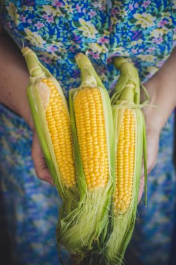mısır koçanları kapatın.