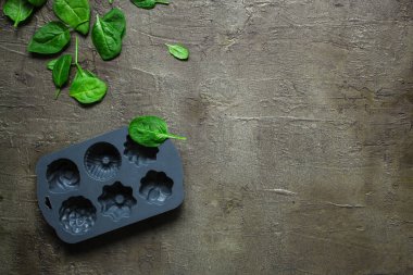 Gri arkaplanda taze ıspanak yapraklarının üst görüntüsü