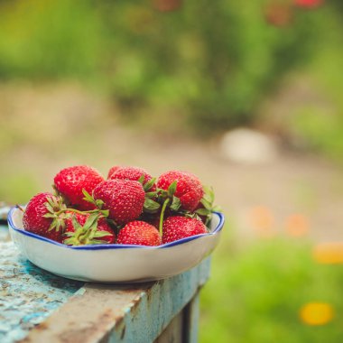 Olgun çilekleri yakın.