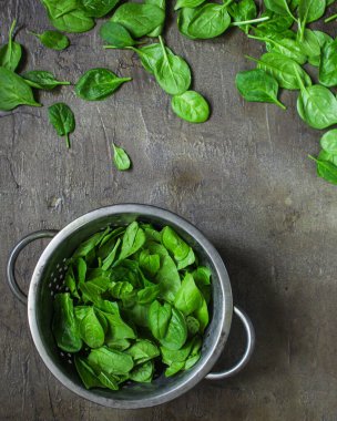 Gri arkaplanda taze ıspanak yapraklarının üst görüntüsü