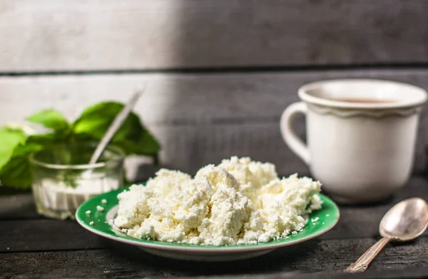 Cottage Cheese Fresh Herbs — Stock Photo, Image