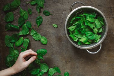 Tahta arka planda bir kasede taze yeşil ıspanak yaprakları. en üstteki görünüm.