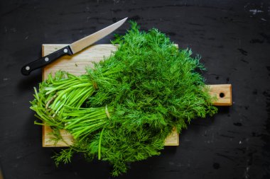 Taze dereotu üst görünümü