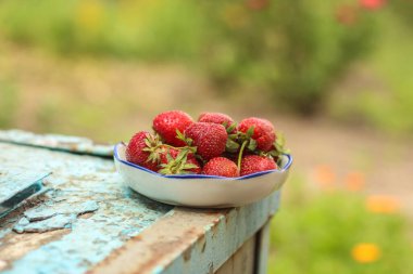 Olgun çilekleri yakın.