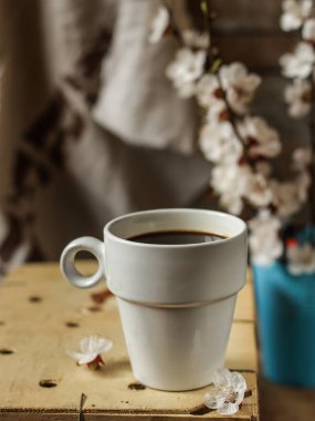 kahve ve çiçek açan ağaç dalı 