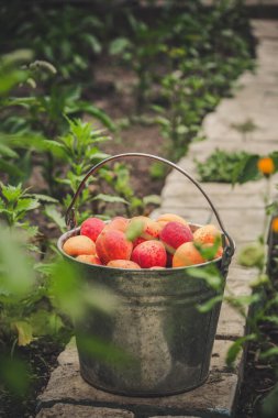 peach jam preparation outdoor