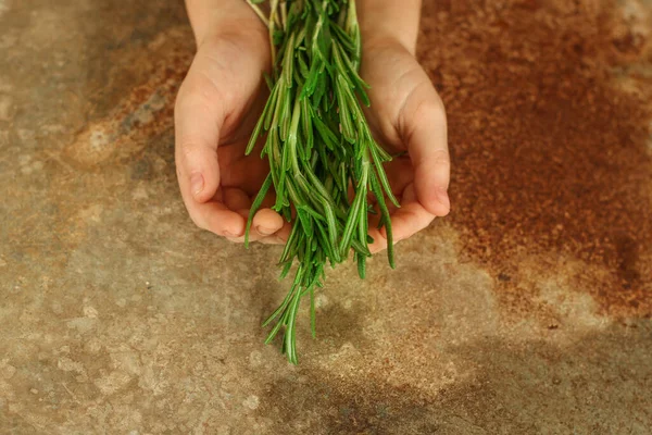 Person Hands Holding Rosemary — Stock Photo, Image