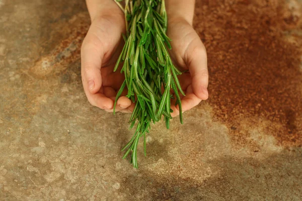 Person Hands Holding Rosemary — Zdjęcie stockowe