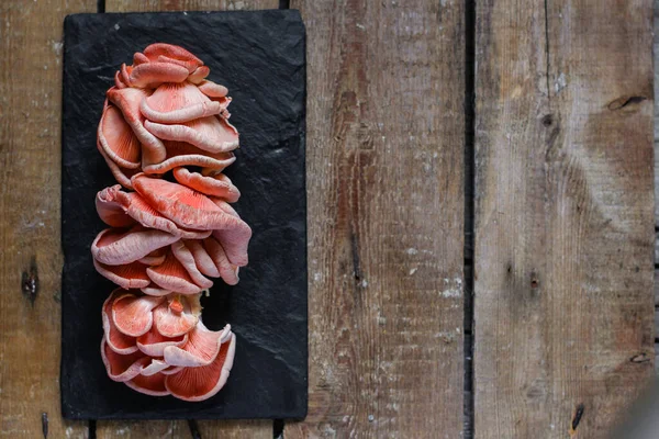 牡蛎蘑菇粉红鲜食准备好就餐小吃桌上抄袭太空食物背景质朴 素食或素食 — 图库照片