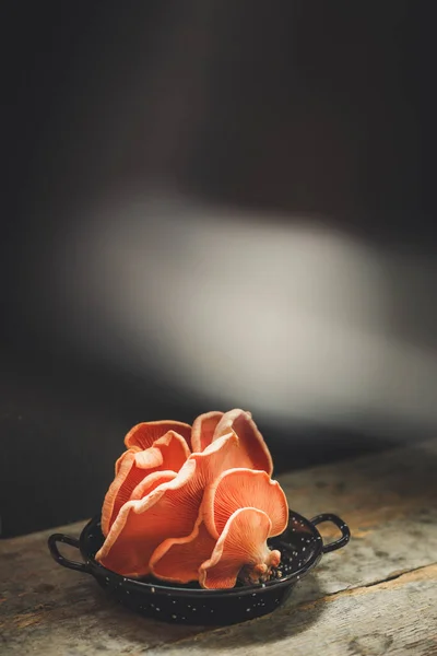 Ostrygi Grzyby Różowy Świeża Porcja Gotowa Jedzenia Przekąska Posiłek Stole — Zdjęcie stockowe