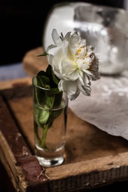 Tahta bir masadaki cam vazoda güzel çiçekler.