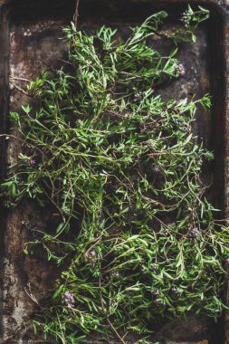 Tahta arka planda taze yeşil maydanoz.