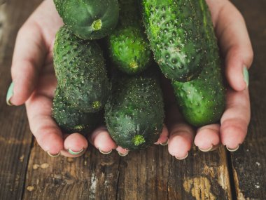 Bir adamın ellerinde taze salatalıklar