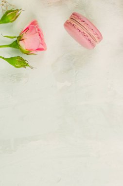 Beyaz arka planda pembe güller ve gül yaprakları