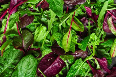 Koyu taş arka planda yeşiller karışır