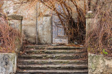 Ağaçlı terk edilmiş bahçe