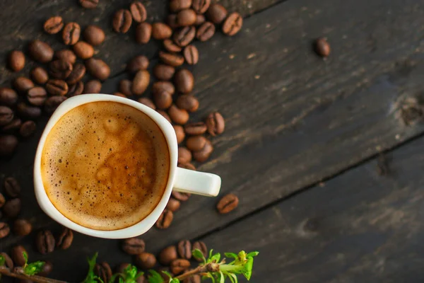 Close Coffee Cup Seeds Wooden Background — Photo