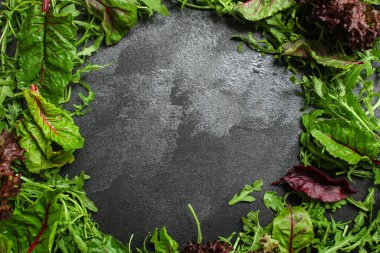 Bitkilerin üst görünümü koyu arkaplanda karışır